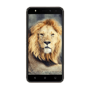 Intex Aqua Lions T1