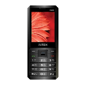 Intex Fame