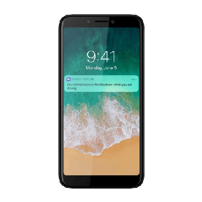 Micromax Canvas 2 2018