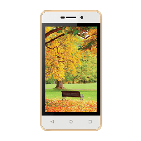 Intex Aqua 4G Strong