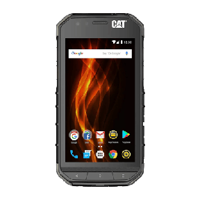 Cat S31
