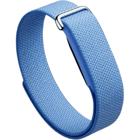 Google Fitbit Air