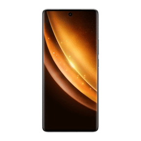 Vivo X100