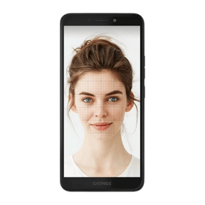 Gionee F205