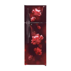 LG GL-S322RSCX 308 Ltr Double Door