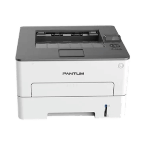 Pantum P3302DW Single Function Laser