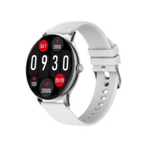 Fire-Boltt Phoenix Pro