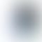 Refurbished Xiaomi 11 Lite NE 5G Box