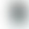 Refurbished Apple iPhone 12 Mini White Back Box