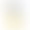 Refurbished OPPO F21s Pro 5G Dawnlight Gold Back