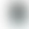 Refurbished Apple iPhone 12 Pro Silver Back Box