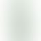 Realme GT 2 Pro - Refurbished_Paper Green_Back_52365