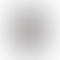 Refurbished Apple Watch Series 5 (44mm, GPS+Cellular)