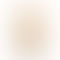 Refurbished Apple iPhone SE 1st Generation Gold Back