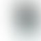 Refurbished Xiaomi 11 Lite NE 5G Box