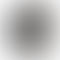 Refurbished Apple Watch Series 5 (40mm, GPS+Cellular)