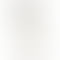 Apple iPhone 14 - Refurbished_Starlight_Back_55771
