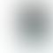 Apple iPhone X - Refurbished_Silver_Phone With Box_57187