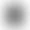 Refurbished Apple Watch Series 5 (40mm, GPS+Cellular)