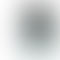 Refurbished LG Velvet Dual Screen Aurora Silver Back Box