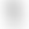 Refurbished Apple iPhone 14 Pro Max Silver Back