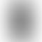 OnePlus Nord 2T 5G - Refurbished_Gray Shadow_Back_57292