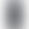 Refurbished Vivo V23 5G Stardust Black Back
