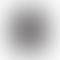 Refurbished Apple Watch Series 5 (40mm, GPS+Cellular)