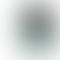 OnePlus Nord 2T 5G - Refurbished_Jade Fog_Phone With Box_57291
