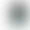 Refurbished Motorola Moto G 5G Frosted Silver Back Box