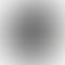 Refurbished Apple Watch SE - 1st Gen (40mm, GPS Only)