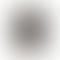 Refurbished Apple Watch Series 7 (41mm, GPS Only)