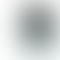 Refurbished Apple iPhone 12 Pro Max Silver Back Box