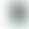 Refurbished Apple iPhone 12 Green Back Box
