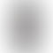 Refurbished Apple Watch Series 5 (40mm, GPS+Cellular)