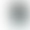 Apple iPhone XS - Refurbished_Silver_Phone With Box_57210