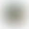 thumbnail_0