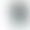 Apple iPhone 16 Plus - Refurbished_White_Phone With Box_51359