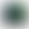 PD Image