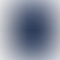 PD Image