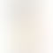OPPO Reno8T 5G -Sunrise gold-back
