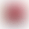 PD Image