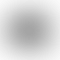 VivoBook Series X421JPY (Intel Core i5 10th Gen 14 Inch)- Refurbished_Black_Back_54795