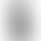 	Vivo V40 -Titanium grey-back