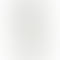Nothing Phone 2 - Refurbished_White_Back_55857