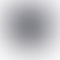 PD Image