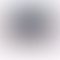 PD Image