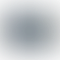 PD Image