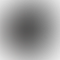 PD Image