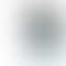 Vivo V50e - Refurbished_Pearl White_Phone With Box_63069